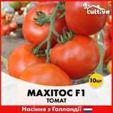 Томат Махитос F1, 10 шт, Голландские семена R51175 фото