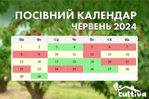 Посівний календар на червень 2024 по днях  фото