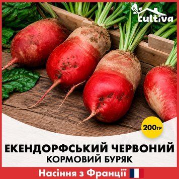Свекла кормовая Экендорфская Красная, 200 гр, Французские семена