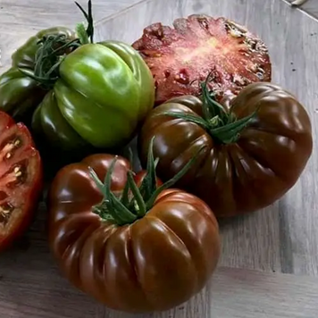 Томат індетермінантний Браун Кой (чорний) F1, 100 нас., Yuksel Seeds YS-43 фото
