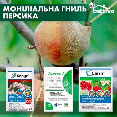 Моніліальна гниль персика - комплект захисту monlial-persyk фото
