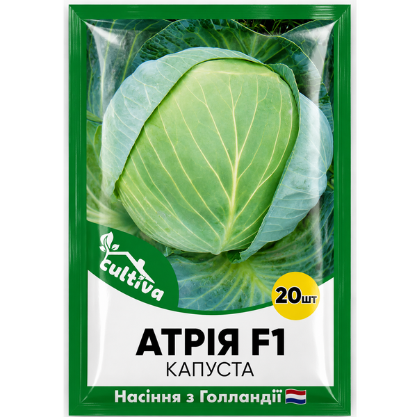 Белоголовая капуста Атрия F1, 20 шт, Голландские семена 00147 фото
