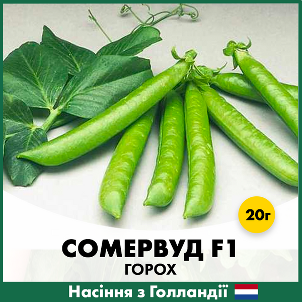 Горох Сомервуд F1, 20 г, Голландские семена 00133 фото