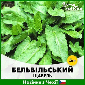 Щавель Бельвильский, 5 гр, Чешские семена R51208 фото