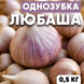 Чеснок озимый Любаша, однозубка, 0.5 кг, калибр 2-3 OLB-05 фото 2
