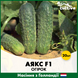 Огірок Аякс F1 20 шт (Голландське насіння) O4 фото 1