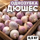 Часник озимий Дюшес, однозубка, 0.5 кг, калібр 2-3 OZ-D-05 фото