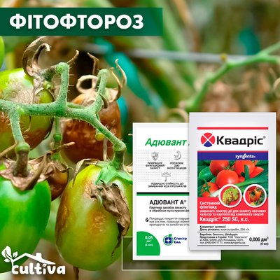 Фітофтороз томату – комплект захисту fit-tomat-nab-1 фото