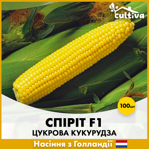 Сахарная кукуруза Спирит F1, 100 шт 00297 фото