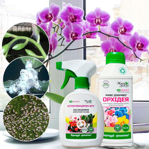 Вредители на орхидеи – набор для реанимации. nab2-orchid фото