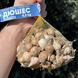 Часник озимий Дюшес, однозубка, 0.5 кг, калібр 2-3 OZ-D-05 фото 1