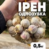 Часник озимий Ірен, однозубка, 0.5 кг CIR05 фото