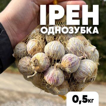 Чеснок озимый Ирен, однозубка, 0.5 кг CIR05 фото