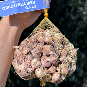 Чеснок озимый Ирен, однозубка, 0.5 кг, калибр 2-3 CIR05 фото