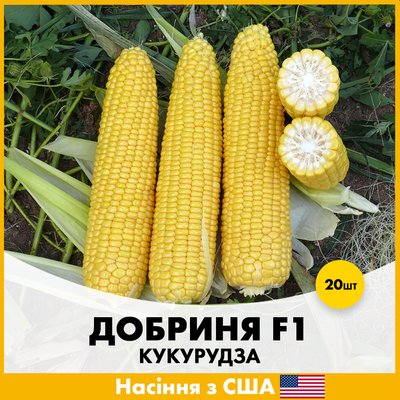 Цукрова кукурудза Добриня F1, 20 шт, Насіння з США lks-20-k фото