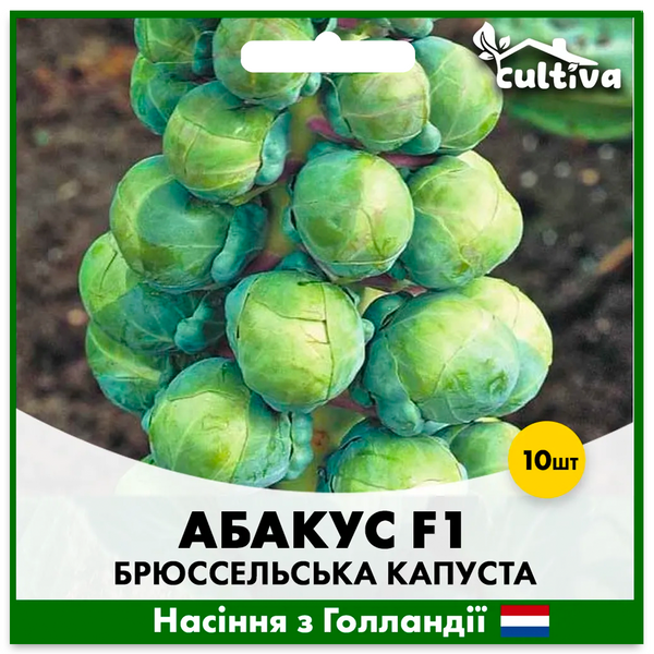 Брюссельская капуста Абакус F1, 10 шт, Голландские семена 00158 фото