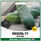 Огірок Еколь F1 10 шт (Голландське насіння) O7 фото