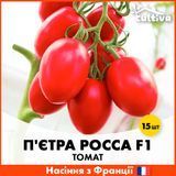 Томат Пьетра Росса F1 15 шт (Французские семена) T5-15 фото
