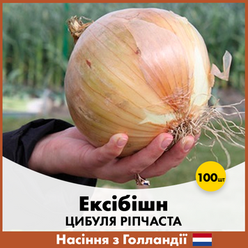 Цибуля ріпчаста Ексібішн, 100 шт, Голландське насіння 00209 фото