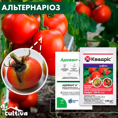 Альтернаріоз томату – комплект захисту alter-tomat-nab-1 фото