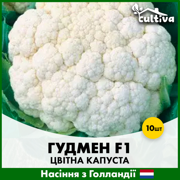 Цвітна капуста Гудмен, 10 шт, Голландське насіння 00159 фото