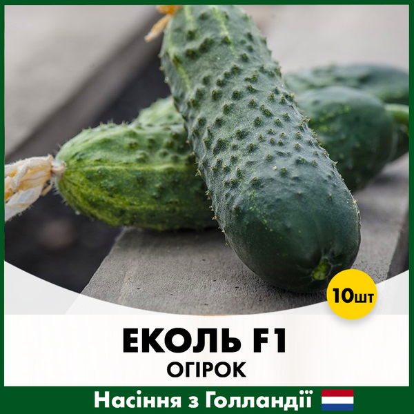 Огірок Еколь F1 10 шт (Голландське насіння) O7 фото