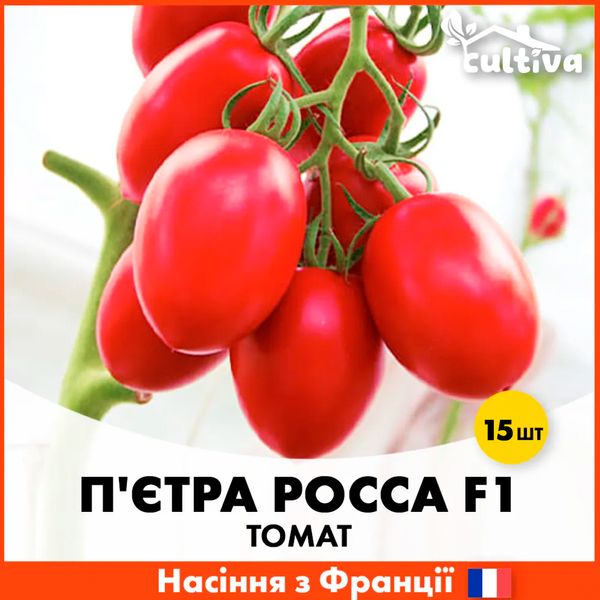 Томат П'єтра Росса F1, 15 шт (Французьке насіння) T5-15 фото