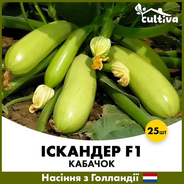 Кабачок Іскандер F1, 25 шт, Голландське насіння K2-25 фото