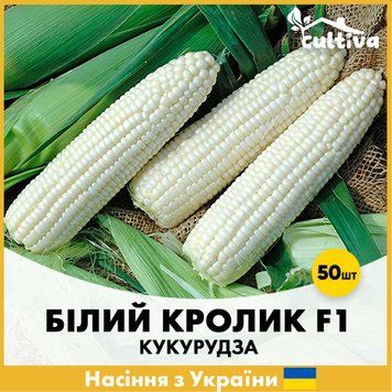 Кукуруза Белый кролик F1, 50 шт, Украинские семена R5112550 фото