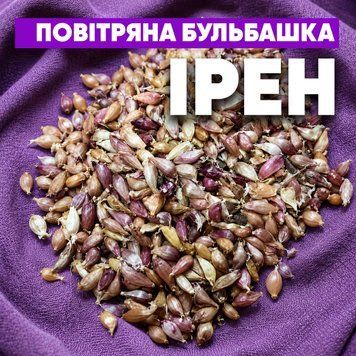 Воздушка чеснок Ирен, 100 г, фракция 5-6 мм. PBI100 фото