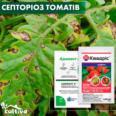Септоріоз томату – комплект захисту septorioz-tomat-nab-1 фото