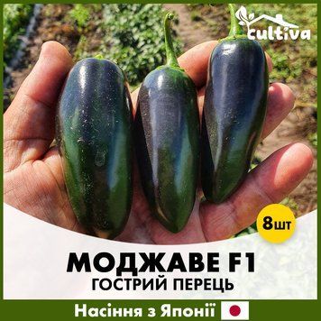 Перець гострий Моджаве F1, 8 шт, Японське насіння R51155 фото