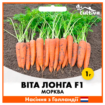 Морква Віта Лонга, 1 гр, Голландське насіння 00165 фото