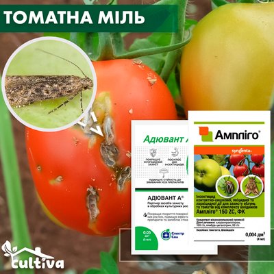 Томатна міль – комплект захисту mil-tomat-nab-1 фото