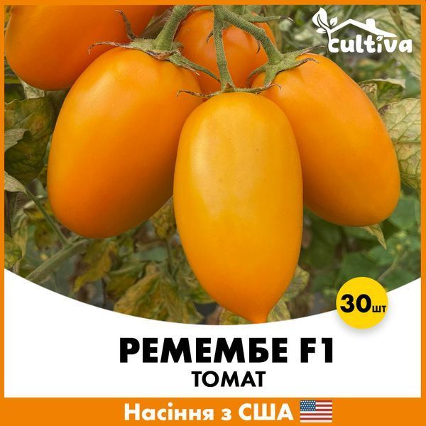 Томат Ремембе F1, 30 шт, Семена из США rmb30 фото