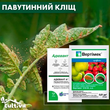 Павутинний кліщ на томатах – комплект захисту klishch-tomat-nab-1 фото