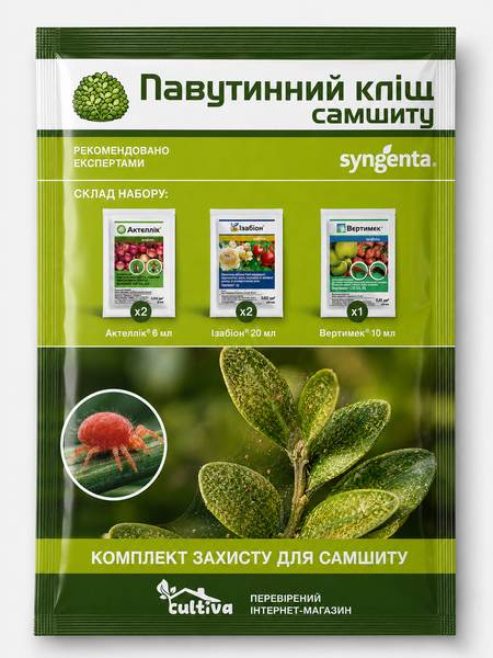 Паутинный клещ на самшите &ndash; комплект защиты sams-klishch-1 фото