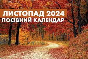 Посівний Календар на Листопад 2024 фото