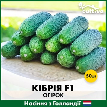 Огірок Кібрія F1, 50 шт, Голландське насіння O8-50 фото