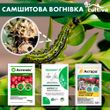 Самшитовая огневка - комплект защиты