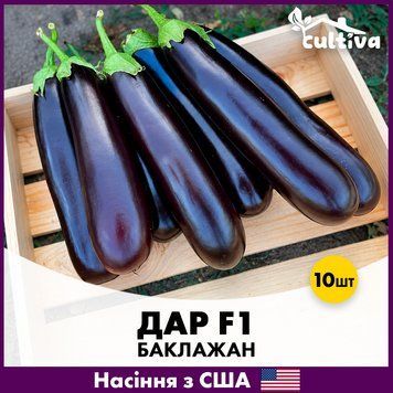 Баклажан Дар F1, 10 шт, Американське насіння R51265 фото