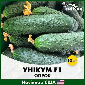 Огурец Уникум F1, 10 шт, Американские семена R51187 фото