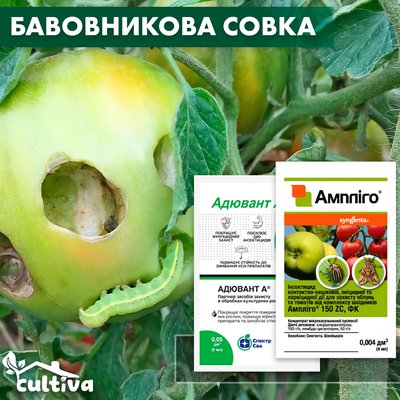 Бавовникова совка на томатах – комплект захисту tom-sovka-1 фото