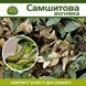 Самшитовая огневка - комплект защиты sams-vognivka-1 фото 1