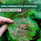 Бура плямистість полуниці - комплект захисту polunyca-bura-pliam-1 фото