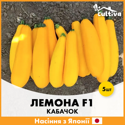 Кабачок Лемона F1 5 шт (Японське насіння) K5 фото