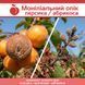 Моніліальний опік абрикоса &ndash; комплект захисту mon-opik-nab фото 1