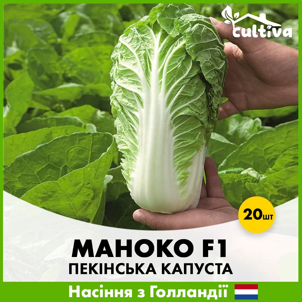 пекинская капуста маноко