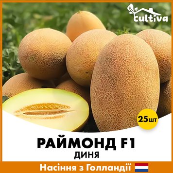 Диня Раймонд F1, 25 шт, Голландське насіння 00137-25 фото