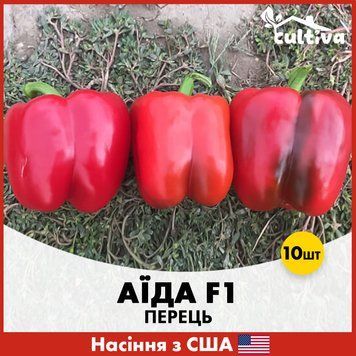 Перець Аїда F1, 10 шт, Американське насіння R51188 фото